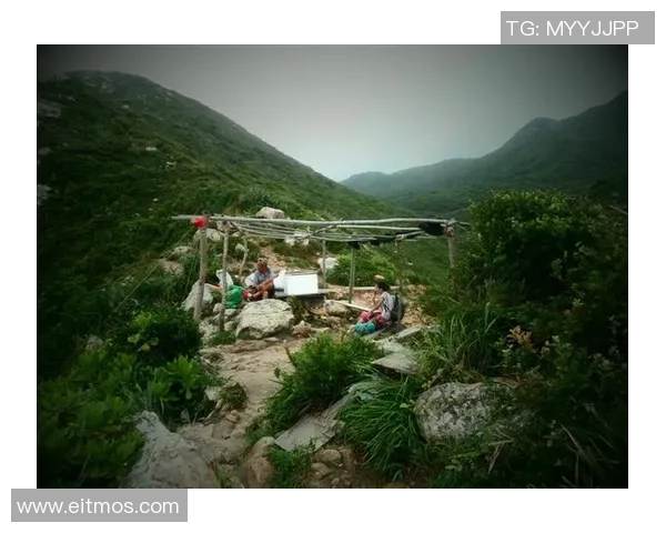 深圳攀岩队战术分析：深入剖析其盯防打法的优势与应用